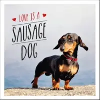 Dragostea este un câine cu cârnați - Love is a Sausage Dog