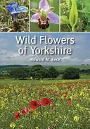 Flori sălbatice din Yorkshire - Wild Flowers of Yorkshire