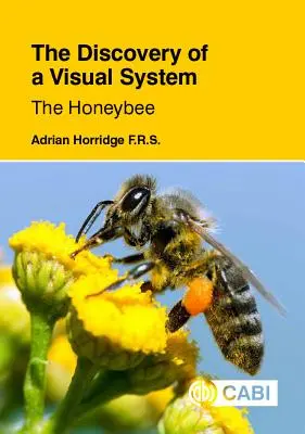 Descoperirea unui sistem vizual - albina de miere - The Discovery of a Visual System - The Honeybee