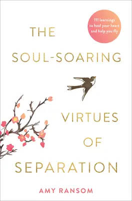 Virtuțile desăvârșitoare ale separării - The Soul-Soaring Virtues of Separation