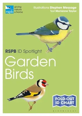 Rspb Id Spotlight - Păsări de grădină - Rspb Id Spotlight - Garden Birds