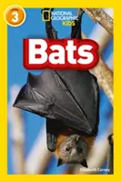 Lilieci - Nivelul 3 - Bats - Level 3