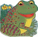 Broască de buzunar - Pocket Frog