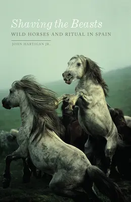 Shaving the Beasts: Caii sălbatici și ritualul în Spania - Shaving the Beasts: Wild Horses and Ritual in Spain