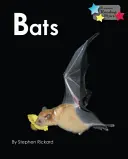 Lilieci - Bats