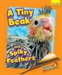 Al cui pui mic ești tu? - Un cioc micuț și pene țepoase - Whose Little Baby are You? - A Tiny Beak and Spiky Feathers