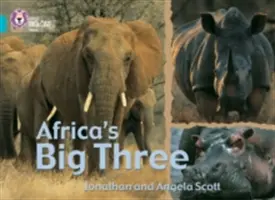 Cei trei mari din Africa - Africa's Big Three