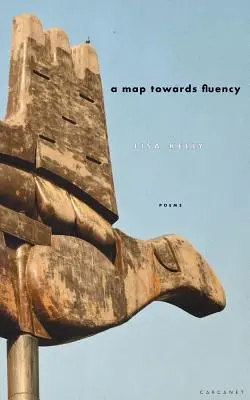 O hartă către fluență - A Map Towards Fluency