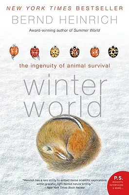 Lumea iernii: Ingeniozitatea supraviețuirii animalelor - Winter World: The Ingenuity of Animal Survival