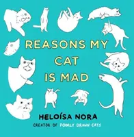 Motive pentru care pisica mea este supărată - Reasons My Cat Is Mad
