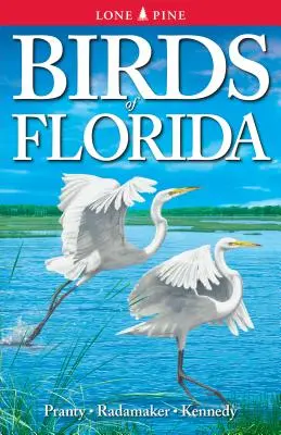 Păsările din Florida - Birds of Florida