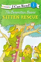 The Berenstain Bears' Kitten Rescue: Nivelul 1 - The Berenstain Bears' Kitten Rescue: Level 1