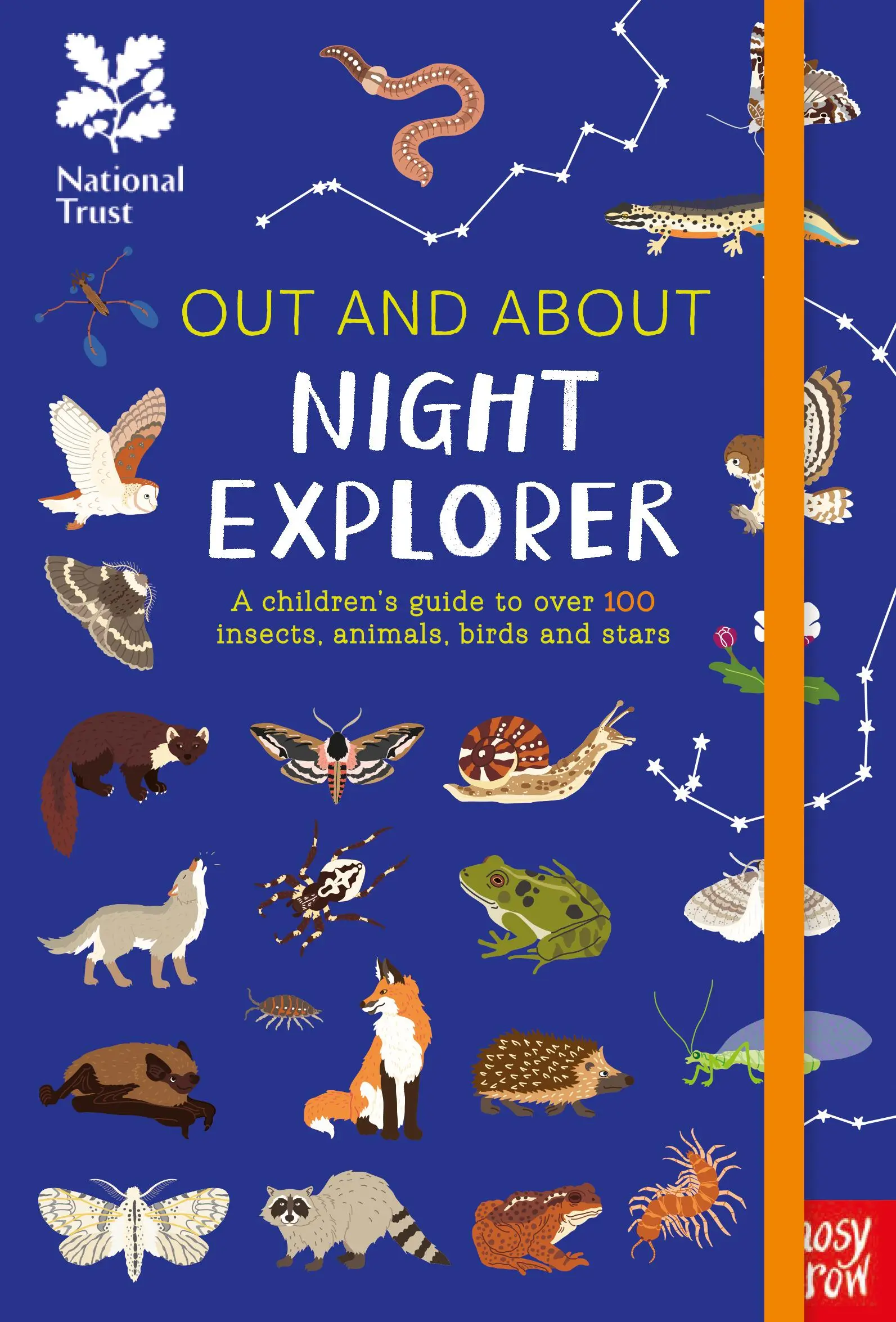 National Trust: Out and About Night Explorer - Un ghid pentru copii cu peste 100 de insecte, animale, păsări și stele - National Trust: Out and About Night Explorer - A children's guide to over 100 insects, animals, birds and stars