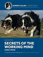 Secretele minții de lucru - Secrets Of The Working Mind