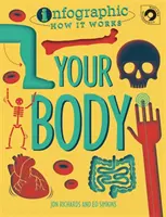 Infografic: Cum funcționează: Corpul tău - Infographic: How It Works: Your Body