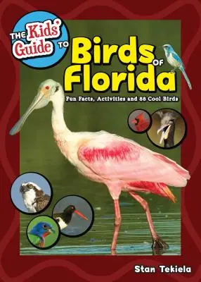 Ghidul pentru copii al păsărilor din Florida: Fapte amuzante, activități și 87 de păsări interesante - The Kids' Guide to Birds of Florida: Fun Facts, Activities and 87 Cool Birds