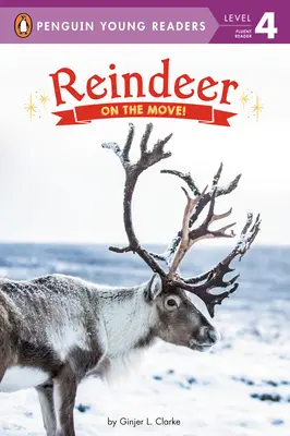 Renii: În mișcare! - Reindeer: On the Move!