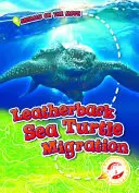 Migrația țestoaselor de mare Leatherback - Leatherback Sea Turtle Migration