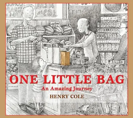 O pungă mică: O călătorie uimitoare - One Little Bag: An Amazing Journey