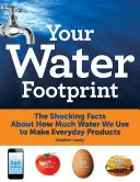 Amprenta ta de apă: Fapte șocante despre cantitatea de apă pe care o folosim pentru a face produse de zi cu zi - Your Water Footprint: The Shocking Facts about How Much Water We Use to Make Everyday Products