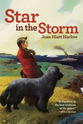 Steaua în furtună - Star in the Storm
