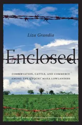 Enclosed: Conservare, bovine și comerț în rândul locuitorilor din zonele joase ale mayașilor Q'eqchi' (Conservation, Cattle, and Commerce Among the Q'eqchi' Maya Lowlanders) - Enclosed: Conservation, Cattle, and Commerce Among the Q'eqchi' Maya Lowlanders