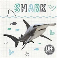 Ciclul de viață al unui rechin - Life Cycle of a Shark
