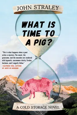 Ce este timpul pentru un porc? - What Is Time to a Pig?