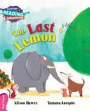Ultima lămâie Pink B Band - The Last Lemon Pink B Band