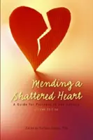 Mending a Shattered Heart (Repararea unei inimi zdrobite): Un ghid pentru partenerii dependenților de sex - Mending a Shattered Heart: A Guide for Partners of Sex Addicts