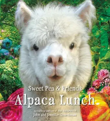 Prânzul Alpaca - Alpaca Lunch