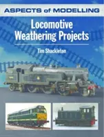 Aspecte ale modelării: Locomotive Weathering Projects - Aspects of Modelling: Locomotive Weathering Projects