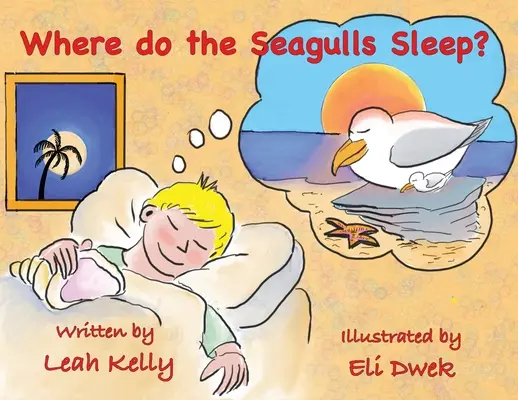 Unde dorm pescărușii? - Where do the Seagulls sleep?