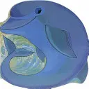 Delfin de buzunar - Pocket Dolphin
