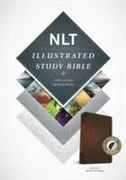 Biblie de studiu ilustrată-NLT - Illustrated Study Bible-NLT