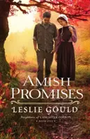 Promisiuni Amish - Amish Promises