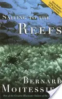 Navigând spre recife - Sailing to the Reefs