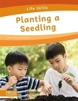 Plantarea unui răsad - Planting a Seedling