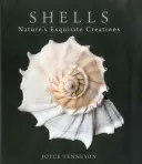 Scoici: Creațiile rafinate ale naturii - Shells: Nature's Exquisite Creations