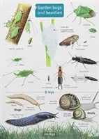 Gândaci și bestii de grădină - Garden Bugs and Beasties