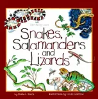Șerpi, salamandre și șopârle - Snakes, Salamanders & Lizards