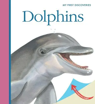 Delfinii - Dolphins