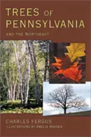 Copacii din Pennsylvania: și nord-estul țării - Trees of Pennsylvania: and the Northeast