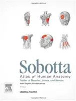 Sobotta Tables of Muscles, Joints and Nerves, engleză - Tabele pentru a 15-a ed. a Atlasului Sobotta - Sobotta Tables of Muscles, Joints and Nerves, English - Tables to 15th ed. of the Sobotta Atlas