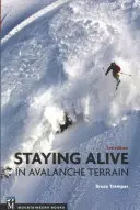 Cum să rămâi în viață în terenul de avalanșă - Staying Alive in Avalanche Terrain