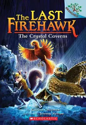 Cavernele de cristal: A Branches Book (Ultimul Firehawk #2), 2 - The Crystal Caverns: A Branches Book (the Last Firehawk #2), 2