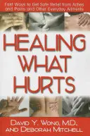 Healing What Hurts: Modalități rapide de a obține o ameliorare sigură a durerilor și a altor afecțiuni cotidiene - Healing What Hurts: Fast Ways to Get Safe Relief from Aches and Pains and Other Everyday Ailments