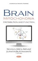 Mitocondriile creierului - distribuție și funcție - Brain Mitochondria - Distribution and Function