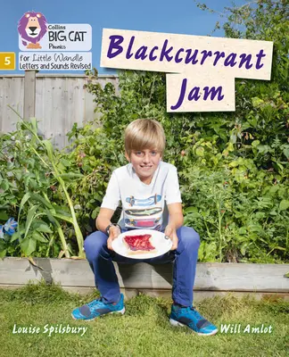 Dulceață de coacăze negre - Faza 5 - Blackcurrant Jam - Phase 5
