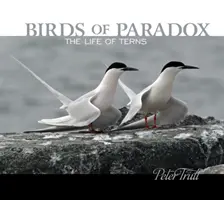 Păsările paradoxului: Viața ternelor - Birds of Paradox: The Life of Terns
